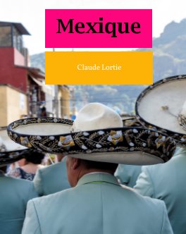 Mexique book cover