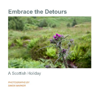 Embrace the Detours book cover