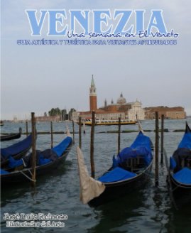 VENEZIA book cover