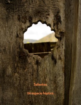 Salientes háptico. book cover