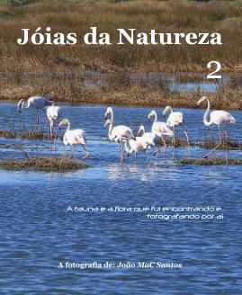 Jóias da Natureza 2 book cover
