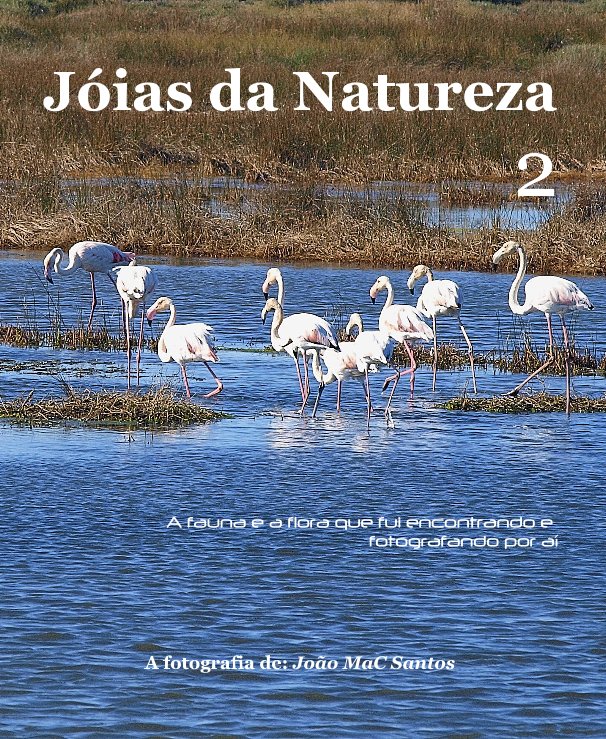 Ver Jóias da Natureza 2 por João MaC Santos