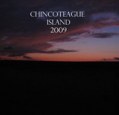 Chincoteague Island 2009-FINAL book cover