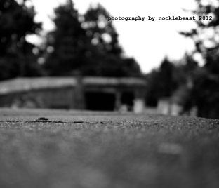 photography by nocklebeast 2012 book cover