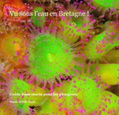 Vu sous l'eau en Bretagne ! book cover