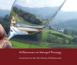 Willkommen im Weingut Pronegg book cover