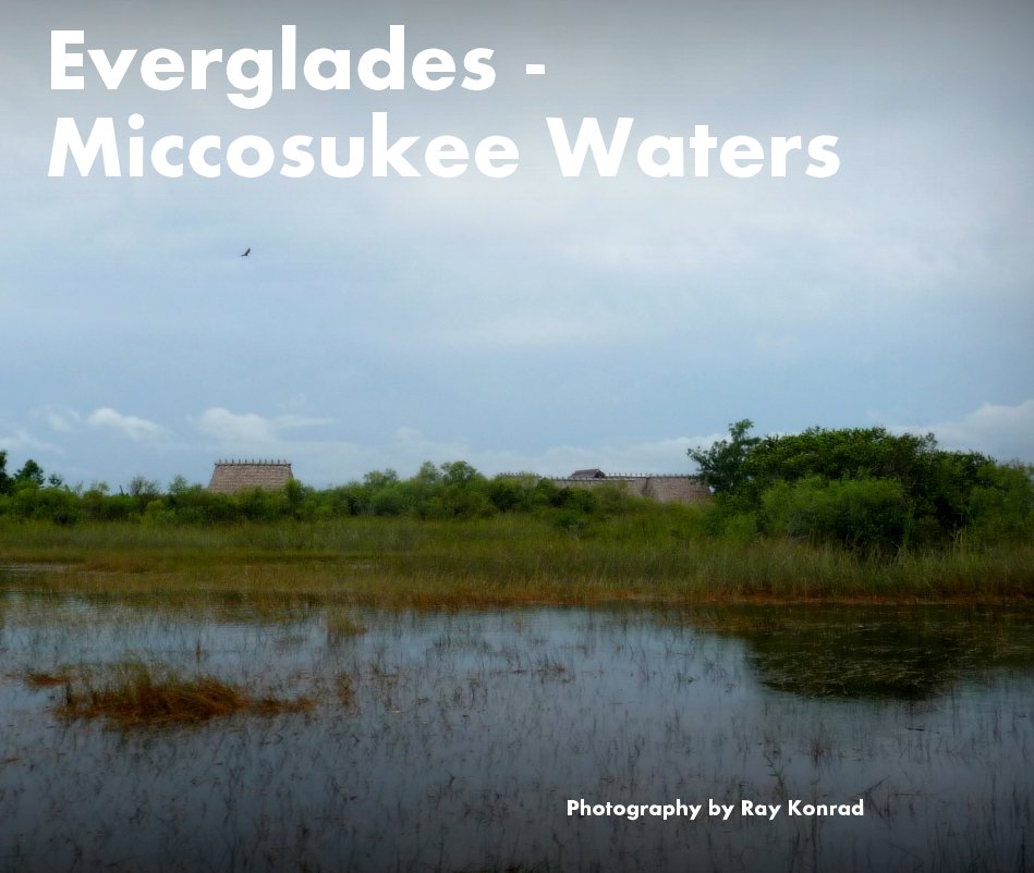 View Everglades - Miccosukee Waters by Ray Konrad