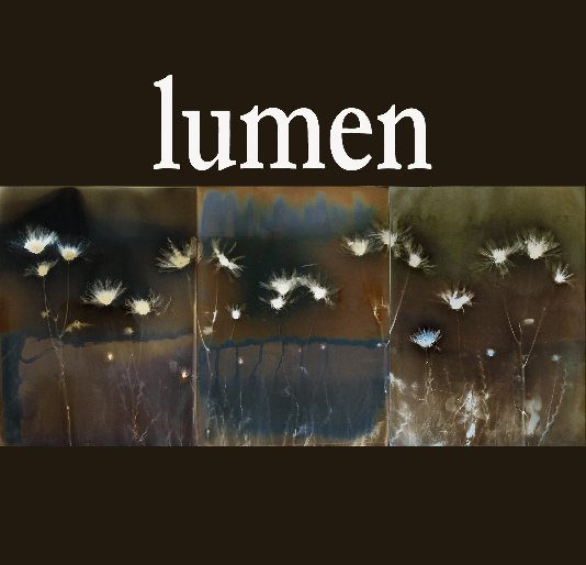 View lumen by A Smith Gallery