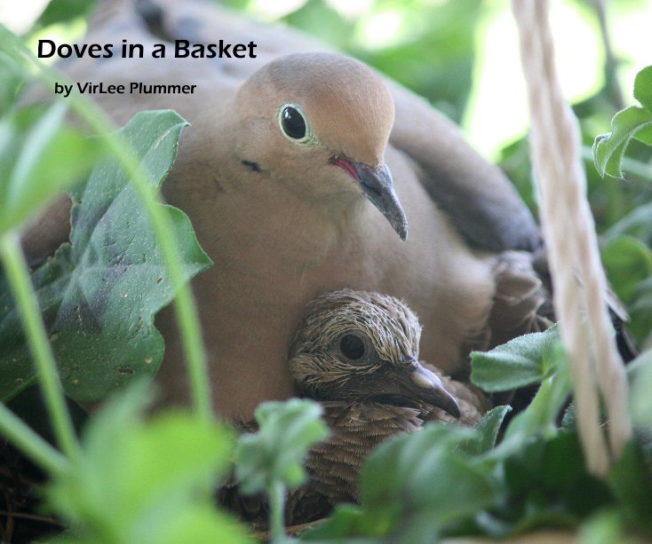 View Doves in a Basket by VirLee Plummer