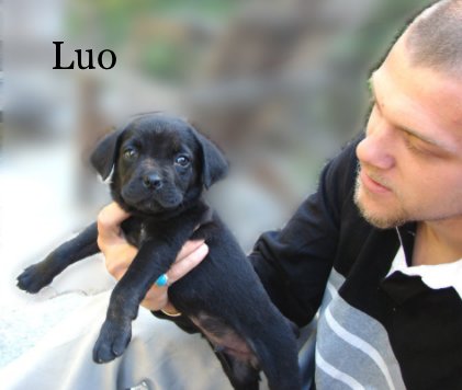 Luo book cover