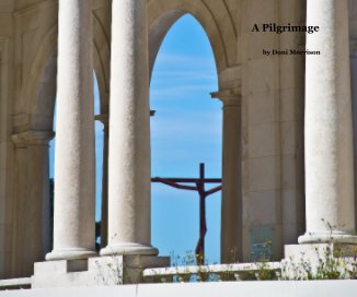 A Pilgrimage book cover