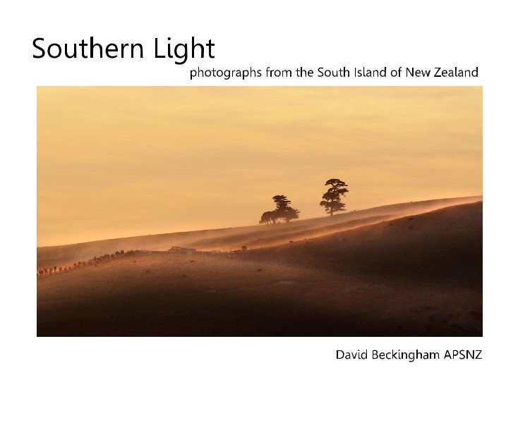 View Southern Light by David Beckingham APSNZ