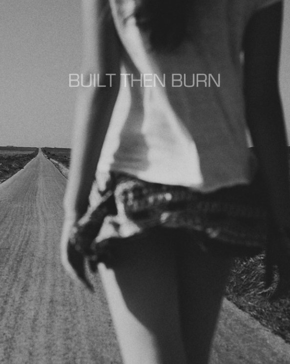 View Built and Burn by David ANDRE