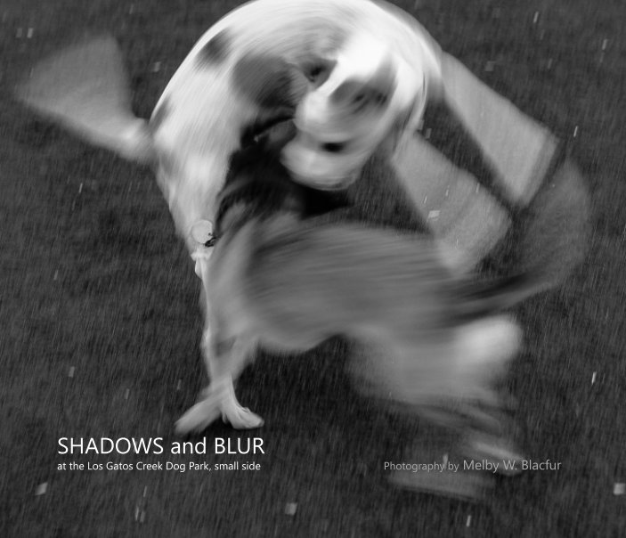 Visualizza SHADOWS and BLUR di Melby W. Blacfur