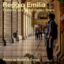 Reggio Emilia book cover