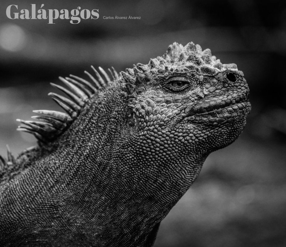 Ver Galápagos por Carlos Álvarez Álvarez