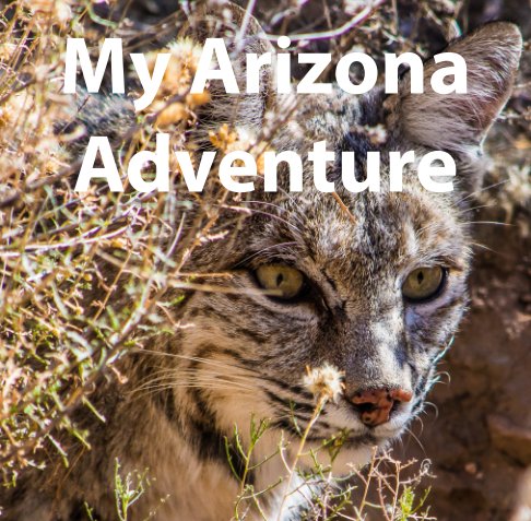 Ver My Arizona Adventure por John Craine