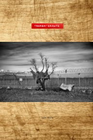 Transmigrants book cover