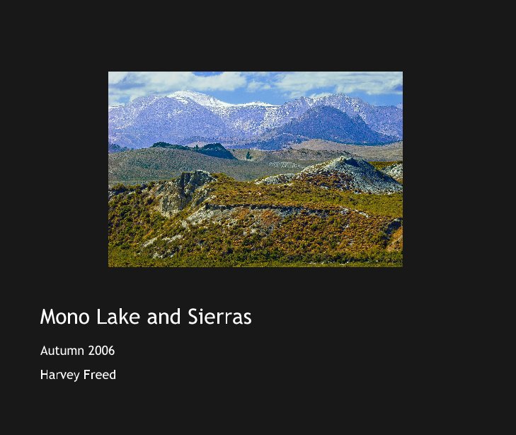 View Mono Lake and Sierras by Harvey Freed