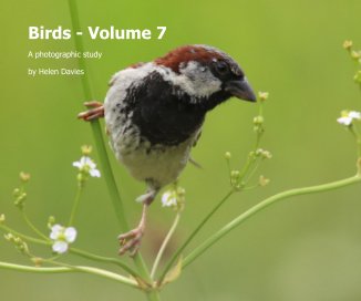 Birds - Volume 7 book cover