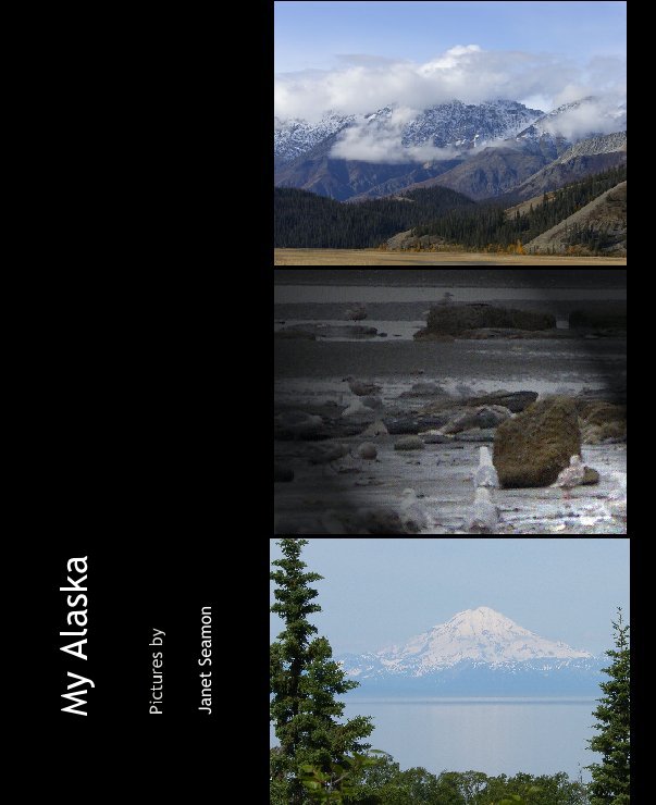 View My Alaska by Janet Seamon