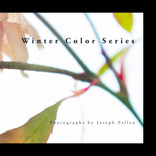 View Winter Color Series by Joseph Pallen