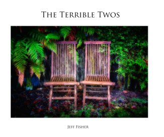 The Terrible Twos book cover