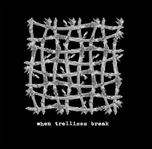 Ver when trellises break (square format - photobook quality) por terri bell