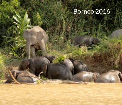 Borneo 2016 book cover