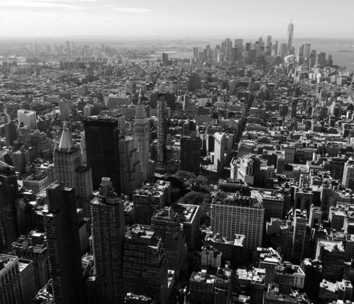 View New York 2015 by Amy Davies