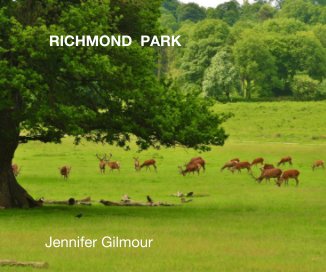 RICHMOND PARK Jennifer Gilmour book cover