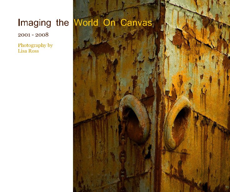 View Imaging the World on Canvas 2001 - 2008 by Lisa Ross
