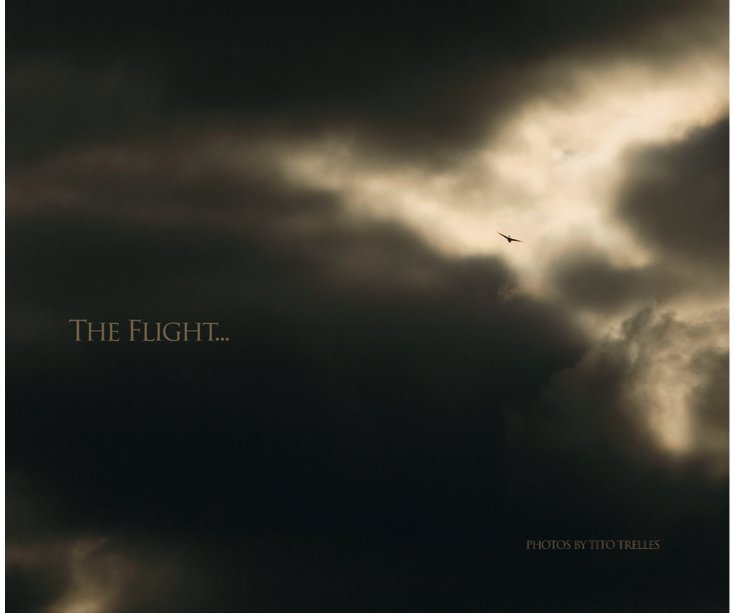View The Flight... by Tito Trelles