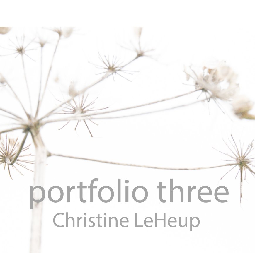 View Portfolio three by Christine LeHeup