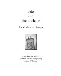 Feits and Breitowiches book cover