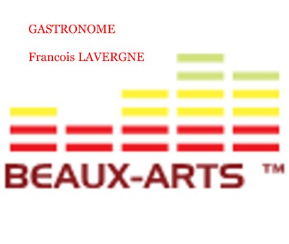 GASTRONOME Francois LAVERGNE book cover