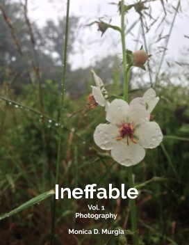 Ineffable book cover