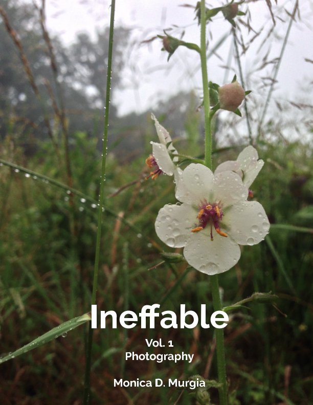 View Ineffable by Monica D. Murgia