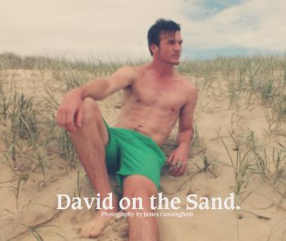 David on the Sand. book cover