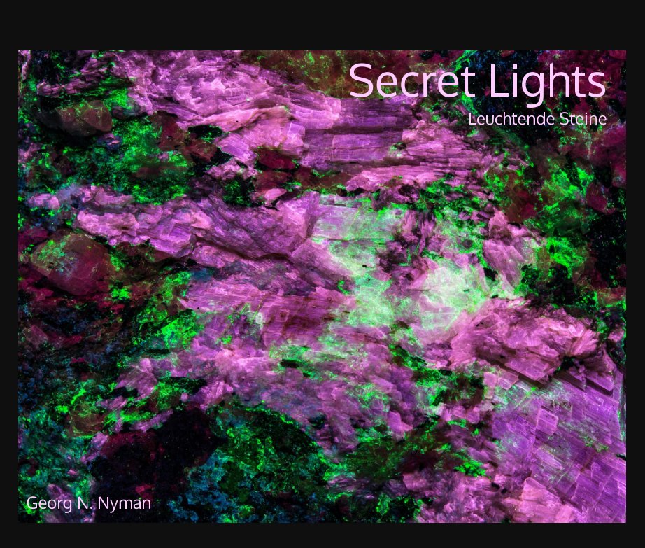 Visualizza Secret Lights di Georg N. Nyman