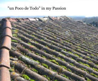 "un Poco de Todo" in my Passion book cover