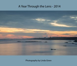 A Year Through the Lens - 2014 book cover