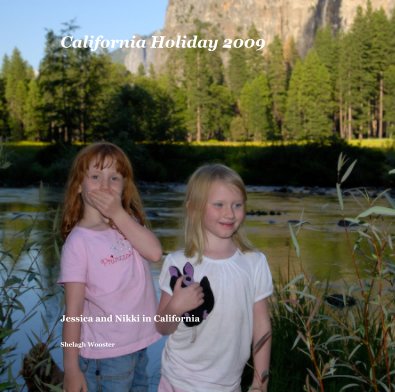 California Holiday 2009 book cover