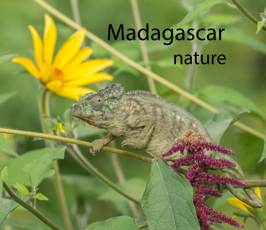 Ver Madagascar por Stefan Waegemans