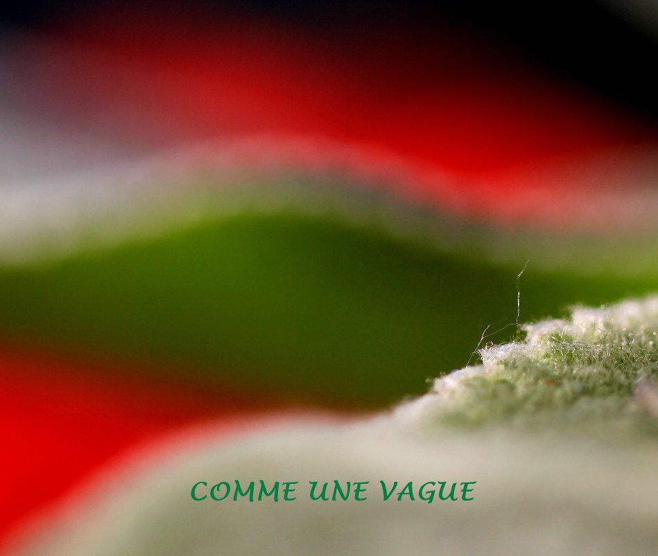 View COMME UNE VAGUE by Nicole Méroz
