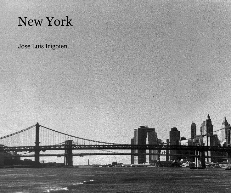 View New York by Jose Luis Irigoien