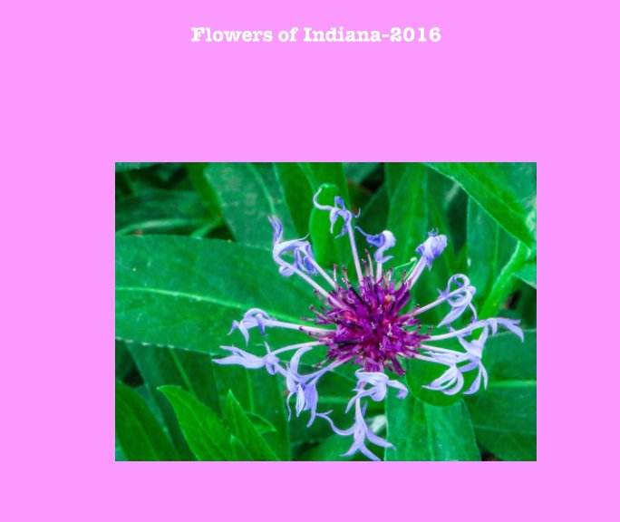 Ver Flowers of Indiana-2016 por Jerry (Pop) Fairfield