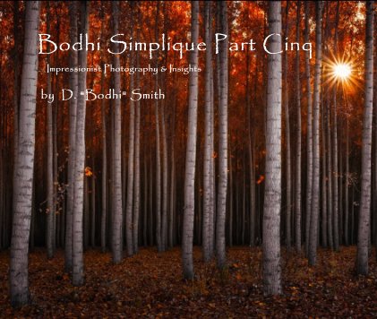 Bodhi Simplique Part Cinq Impressionist Photography and Insights book cover