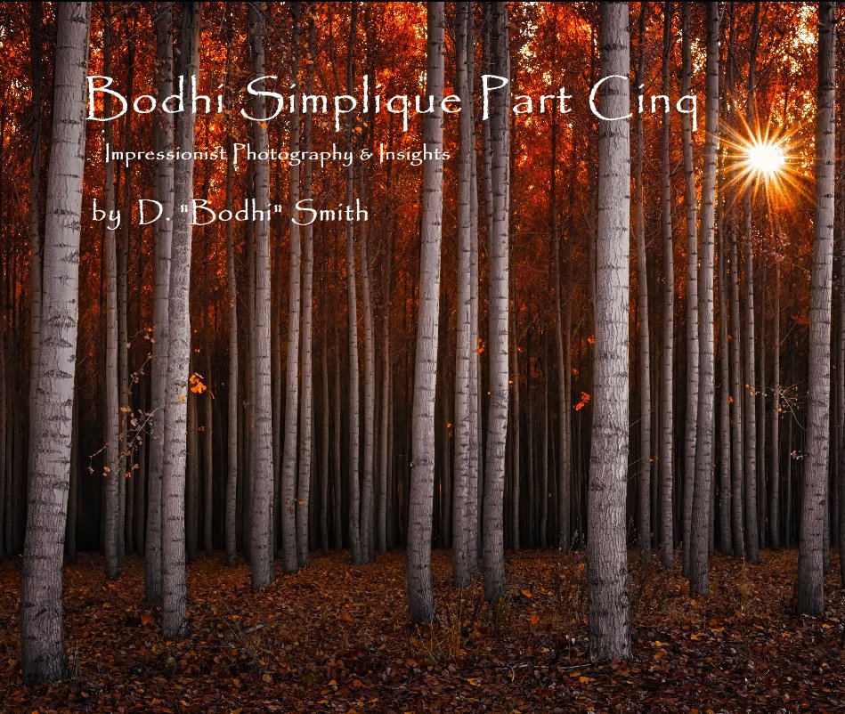 Visualizza Bodhi Simplique Part Cinq Impressionist Photography and Insights di D. "Bodhi" Smith