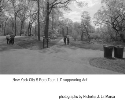New York City 5 Boro Tour book cover